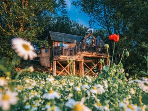 Three Bedroom Eco Treehouse in Manor House Grounds, North Yorkshire Moors, Yorkshire, England